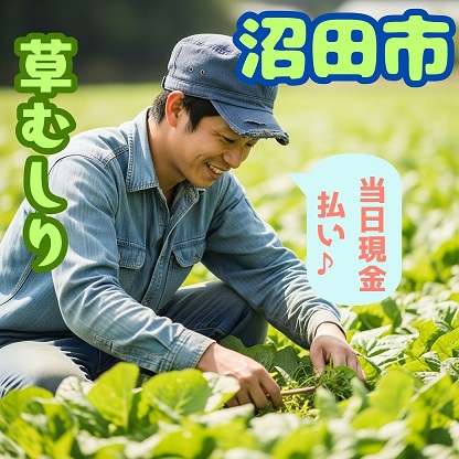 バイト先の写真